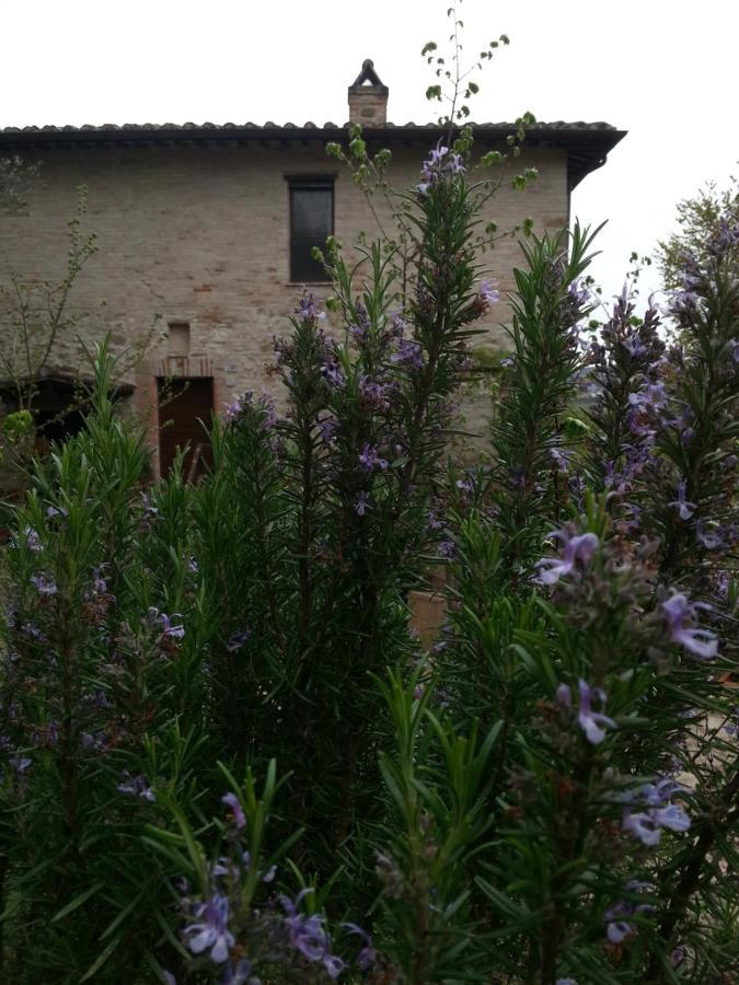 Agriturismo Il Poggio degli Scoiattoli Perugia Esterno foto