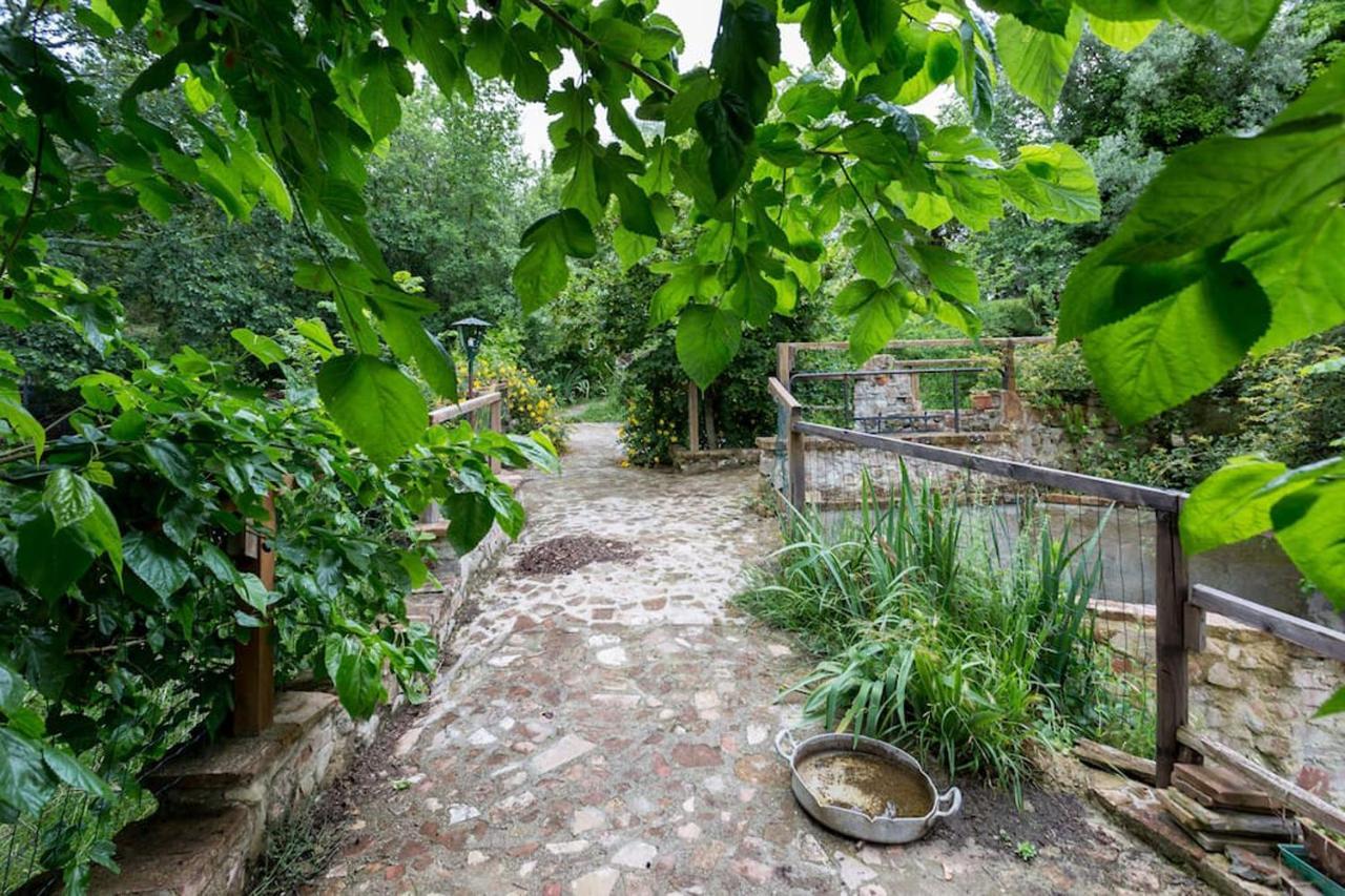 Agriturismo Il Poggio degli Scoiattoli Perugia Esterno foto