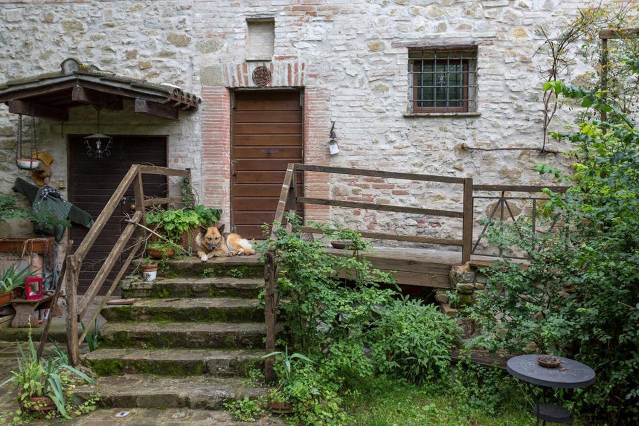 Agriturismo Il Poggio degli Scoiattoli Perugia Esterno foto